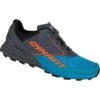 Dynafit Alpine Hardloopschoenen Heren - Magnet Frost