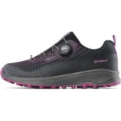 Icebug Haze W RB9X GTX Women's Shoes - Orchid/stone